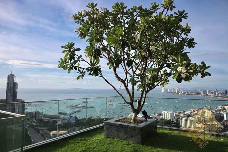 Picture of Unixx - Condos for Sale and Rent in South Pattaya