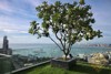 Picture of Unixx - Condos for Sale and Rent in South Pattaya