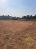 Picture of Land for sale Toongklom Talman