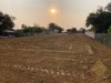 Picture of Land for Sale Toongklom Talman