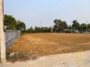 Picture of Land for Sale Toongklom Talman