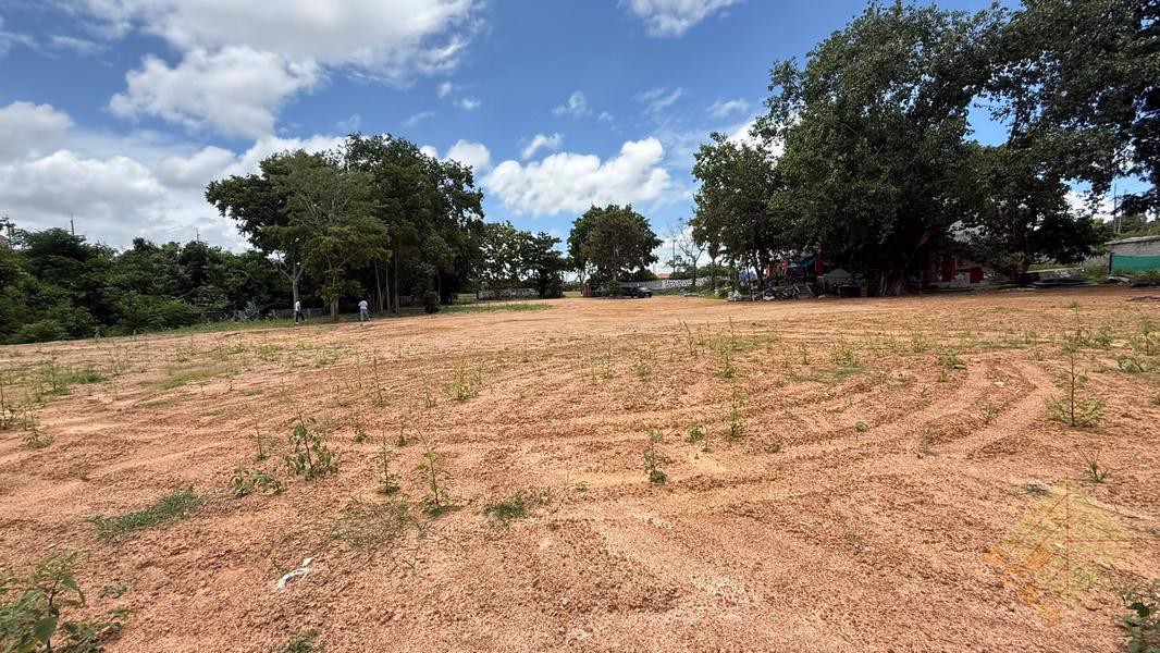 Picture of Land for Sale in Toongklom Talman