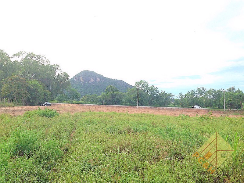 Picture of ขายที่ดินใกล้เขาชีจรรย์ นาจอมเทียน