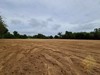 Picture of Land for Sale in Na Jomtien