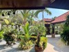 Picture of Baan Balina 2 - 3 Bedroom House for Sale
