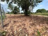 Picture of Land for Sale in Pattaya East