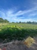 Picture of Land for Sale in Huai Ta Nuu