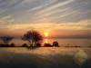 Picture of Cetus Condo - 1 Bedroom Condo for Sale